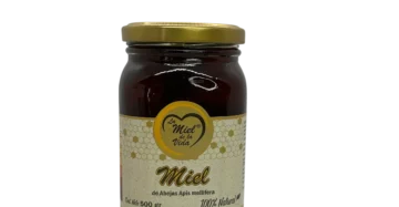 Miel Ecologica Miel de la Vida x 500 g